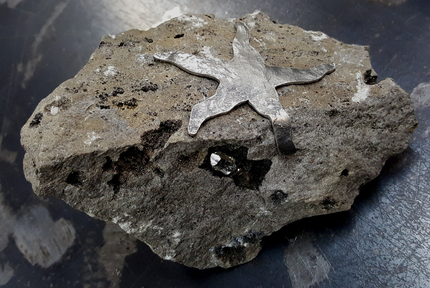 ROCK STAR Garden Decor Rock Garden Sculpture Door Stop Gardener's Gift Stainless Steel Starfish Beach Rock Hostess Gift Housewarming