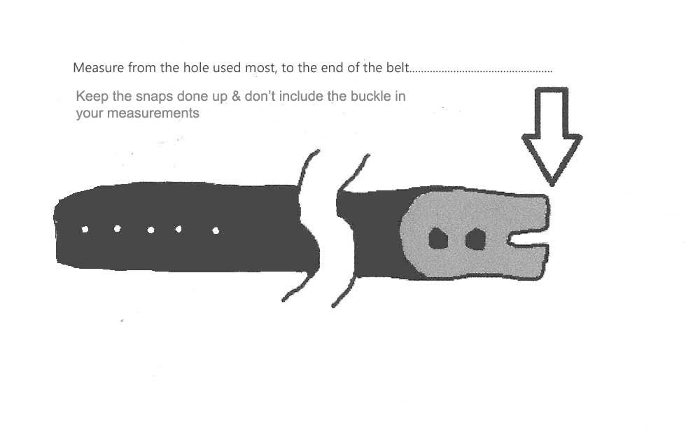 Belt and Buckle Hypoallergenic Accessories Stainless Steel with Silver or Bronze Design & 1.5" Leather Belt Stainless or Bronze Anniversary