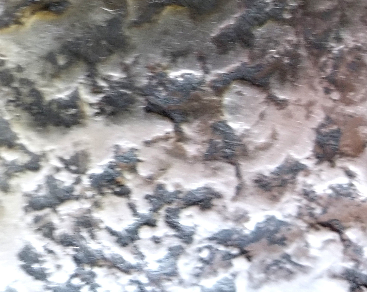 Belt Buckle Made in Canada Hand Forged Bronze Anniversary Stainless Steel Buckle One of a Kind Unisex Buckle For 1-1/2" Belt For Jeans