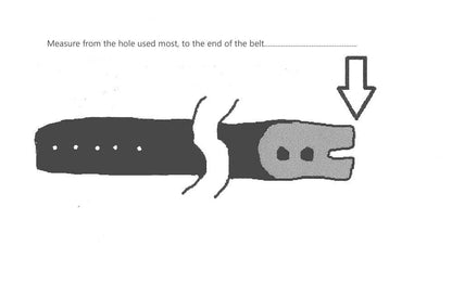 Simple Belt & Buckle Gift for Guys Gift for Gals Prong Buckle and Custom Cut Leather Belt
