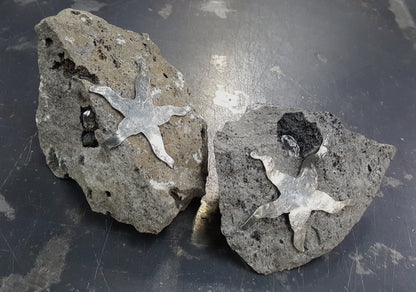 ROCK STAR Garden Decor Rock Garden Sculpture Door Stop Gardener's Gift Stainless Steel Starfish Beach Rock Hostess Gift Housewarming