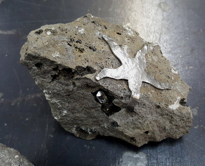 ROCK STAR Garden Decor Rock Garden Sculpture Door Stop Gardener's Gift Stainless Steel Starfish Beach Rock Hostess Gift Housewarming